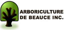 Élagage, Émondage, Abattage, Déboisement et Essouchement d'arbres